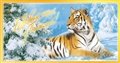 № заказа 2009-280/5. С Новым годом из Приморья! Тигр на фоне заснеженного леса.