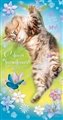 № 88-о/2009. С днем рождения! Котенок с бабочками.