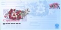 № 29К-2006. С праздником!